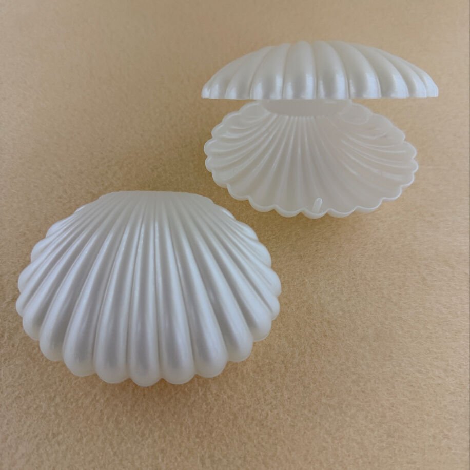 Plastik İstiridye Boş Kutu