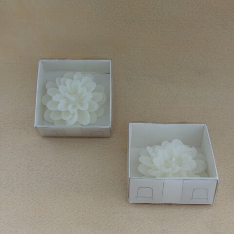 Lotus Mum Beyaz Kutulu 12li paket