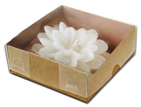 Lotus Mum Kraft Kutulu 12 li paket