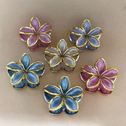 Lotus Toka Gold Karışık Lüx 12li Paket 8cm