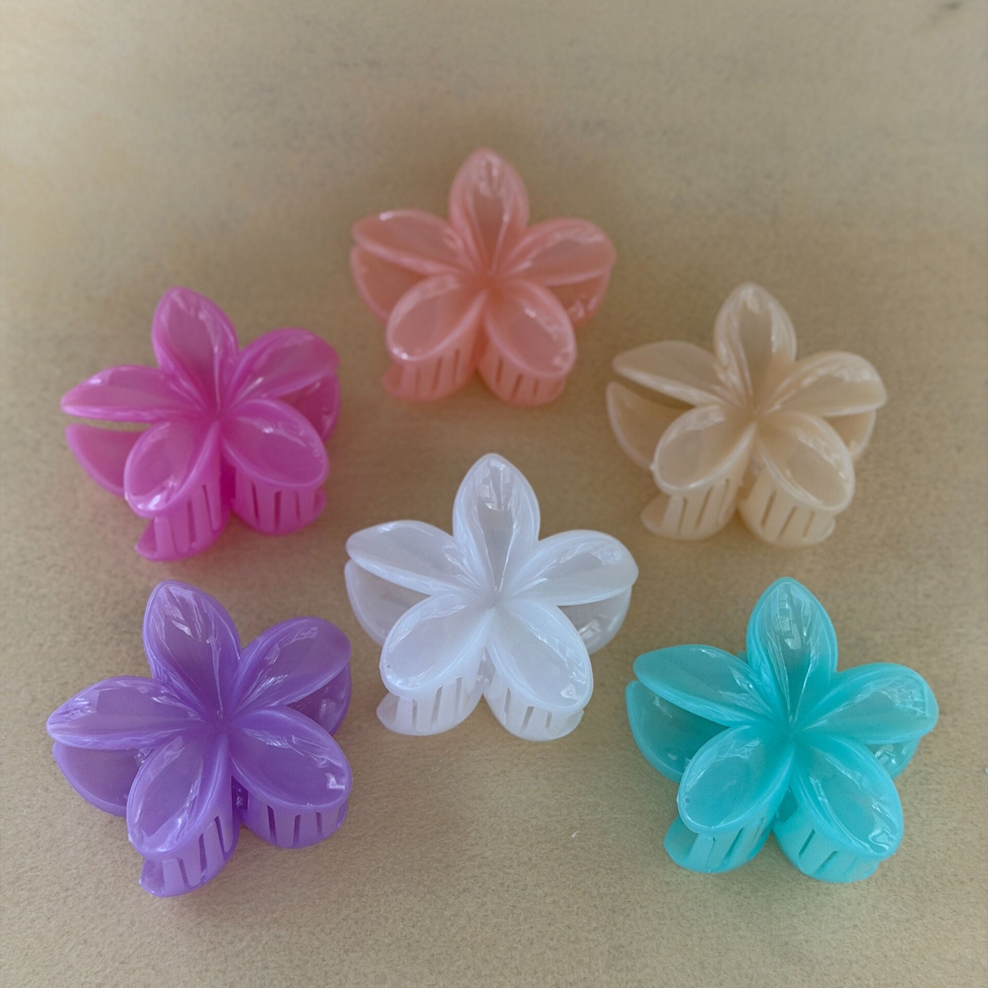 Lotus Toka Karışık Renkli 12li Paket 8cm