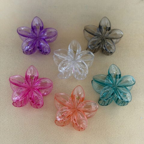 Lotus Toka Karışık Renkli Şeffaf 12li Paket 8cm