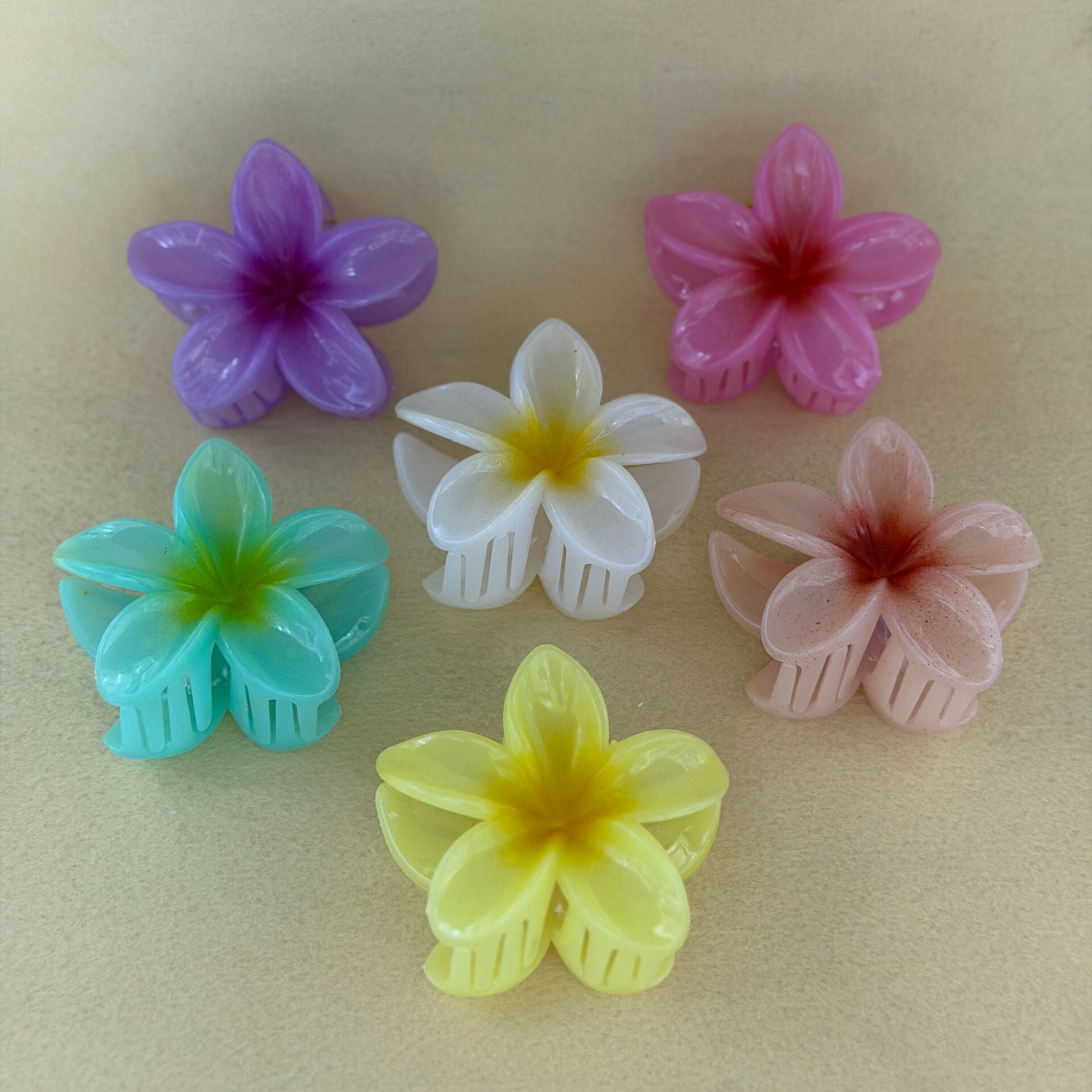 Lotus Toka Karışık Renk 12li Paket 8cm