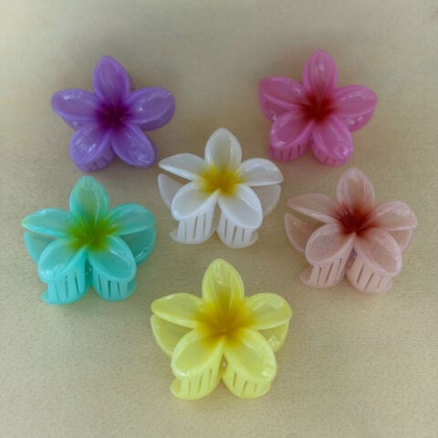 Lotus Toka Karışık Renk 12li Paket 8cm