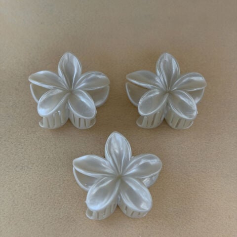Lotus Toka Sedefli 12li Paket 6cm