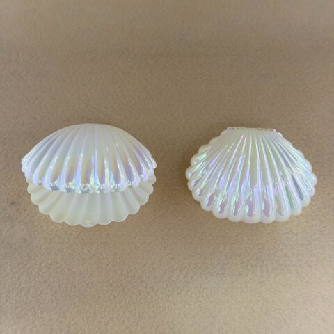 İthal Janjanlı Plastik İstiridye Boş Kutu 12'Li Paket
